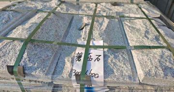 乌兰察布芝麻白蘑菇石，自然面